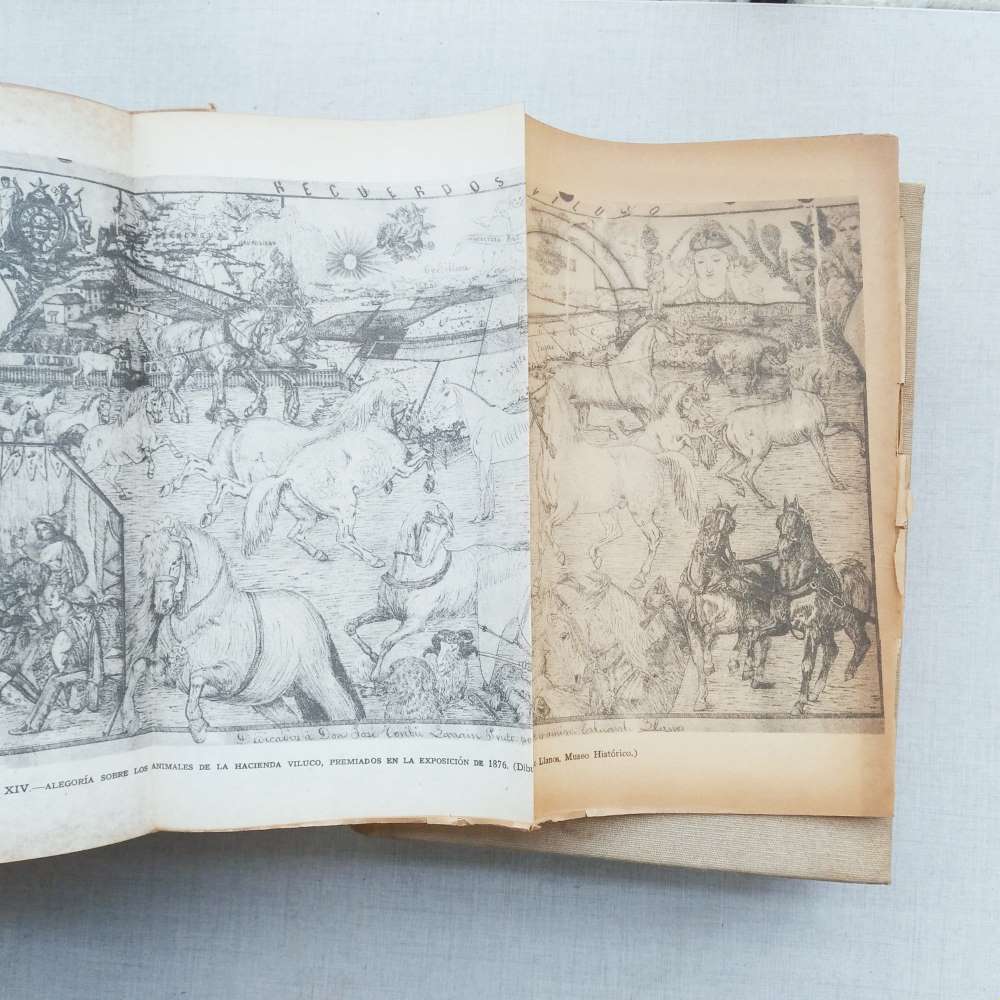 20251010_112019 (Avelibros1)